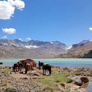 EXPEDICIÓN LAGUNA Y CATARATAS DEL ATUEL - SAN RAFAEL MENDOZA